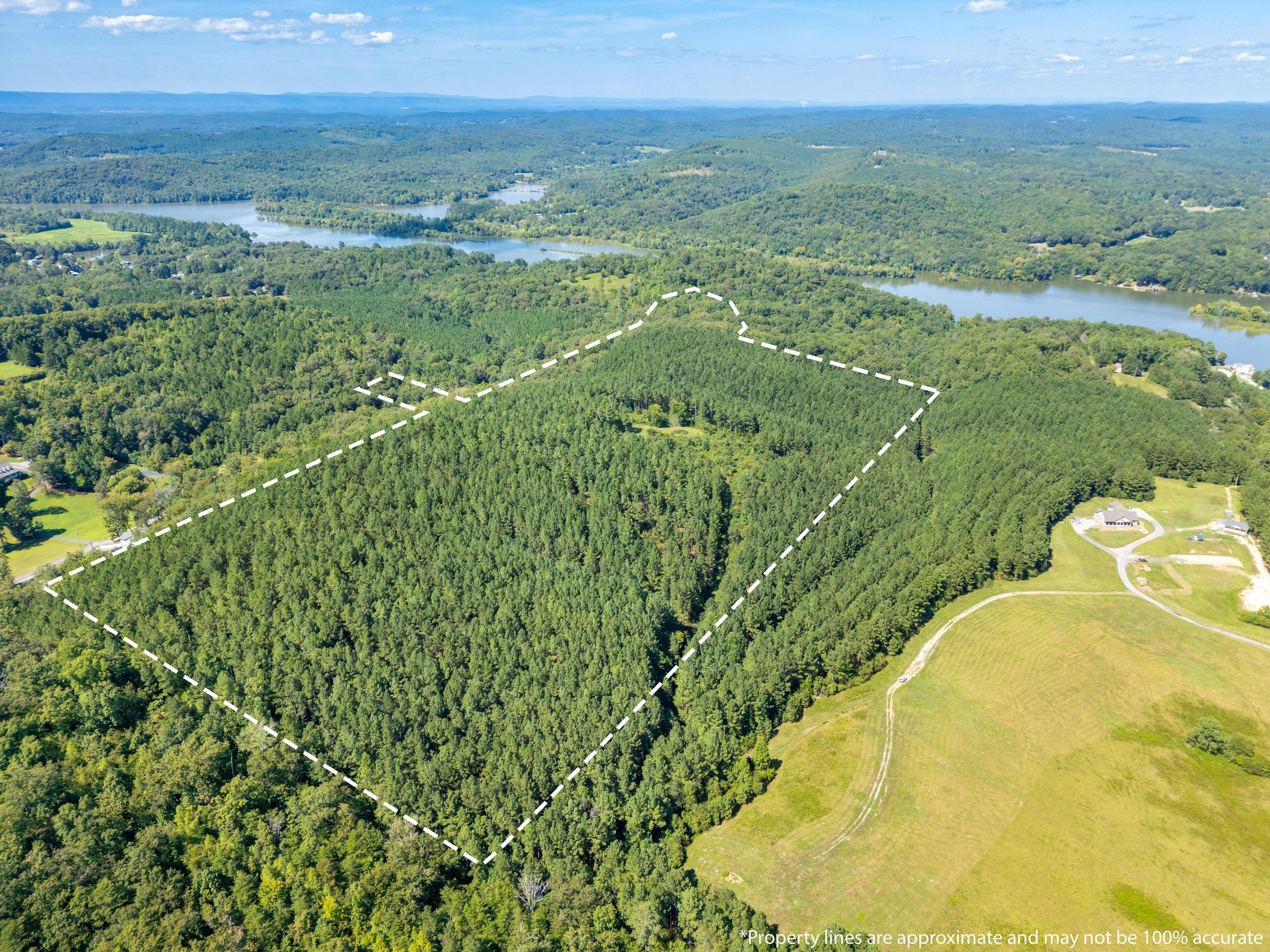847 Eads Bluff Road Northwest Georgetown, TN 37336 - Photo 11 of 16 2025_08_August_847_Eads_Bluff_Rd_NW_0006