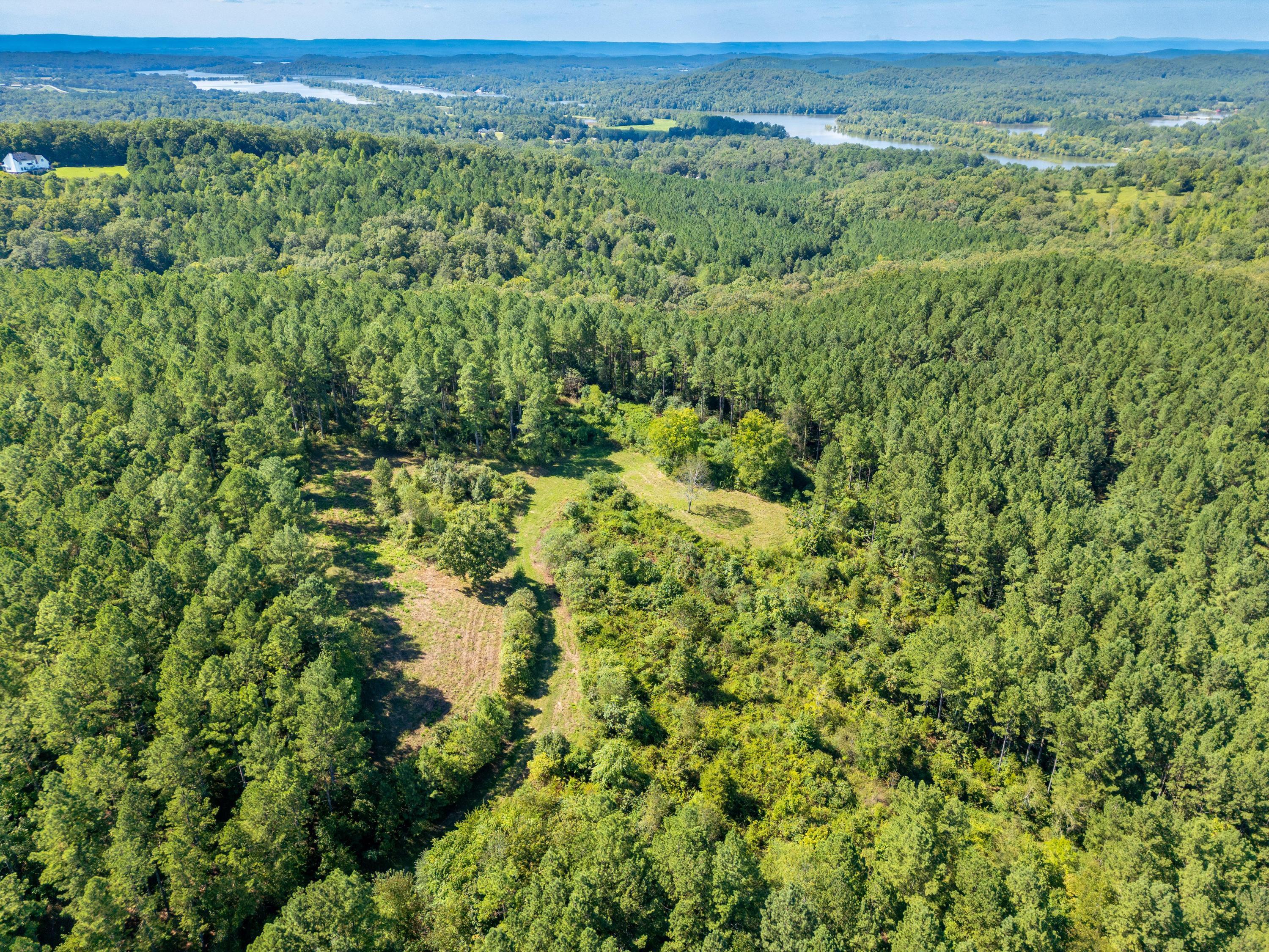 847 Eads Bluff Road Northwest Georgetown, TN 37336 - Photo 13 of 16 2025_08_August_847_Eads_Bluff_Rd_NW_0004