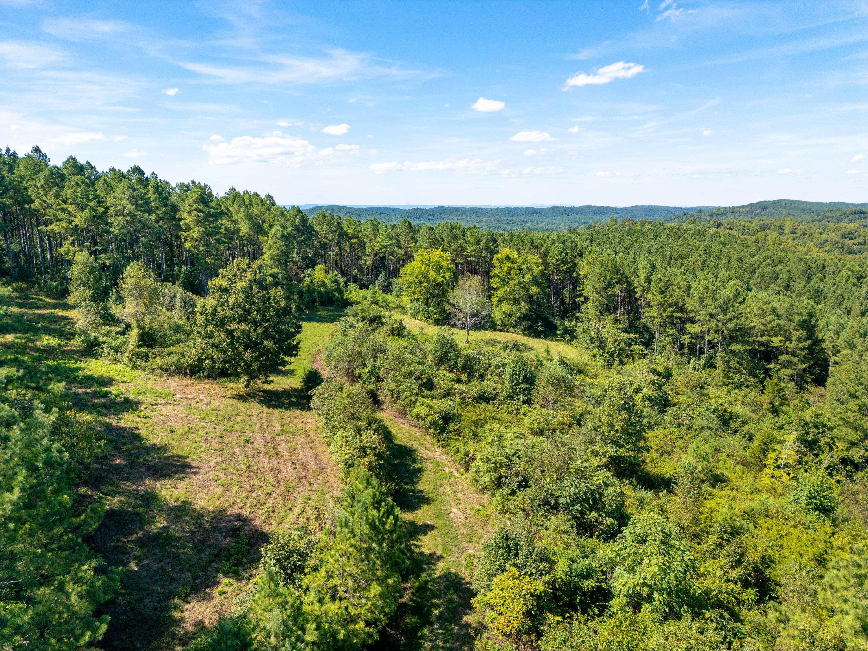 847 Eads Bluff Road Northwest Georgetown, TN 37336 - Photo 14 of 16 2025_08_August_847_Eads_Bluff_Rd_NW_0003