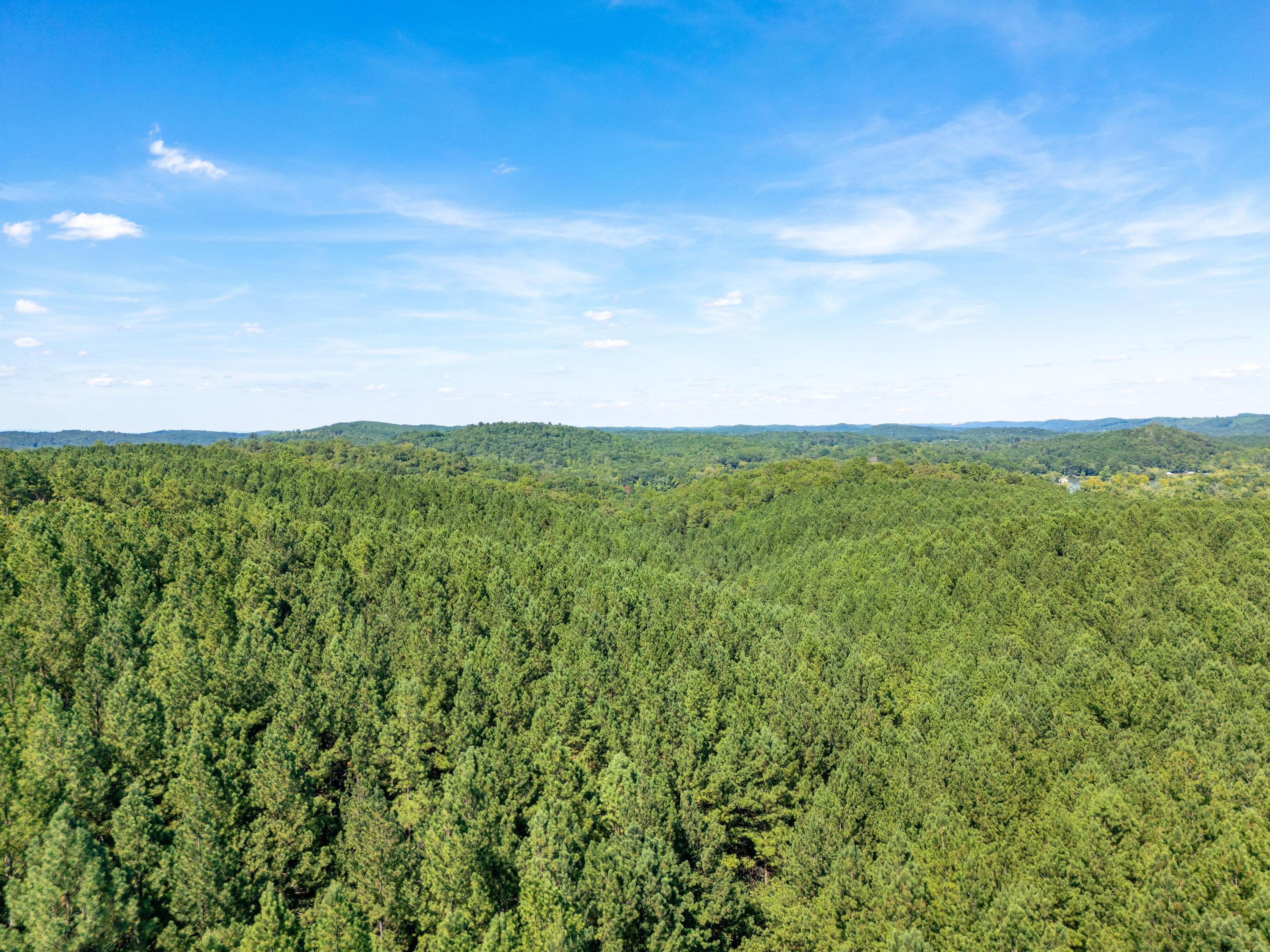 847 Eads Bluff Road Northwest Georgetown, TN 37336 - Photo 15 of 16 2025_08_August_847_Eads_Bluff_Rd_NW_0002