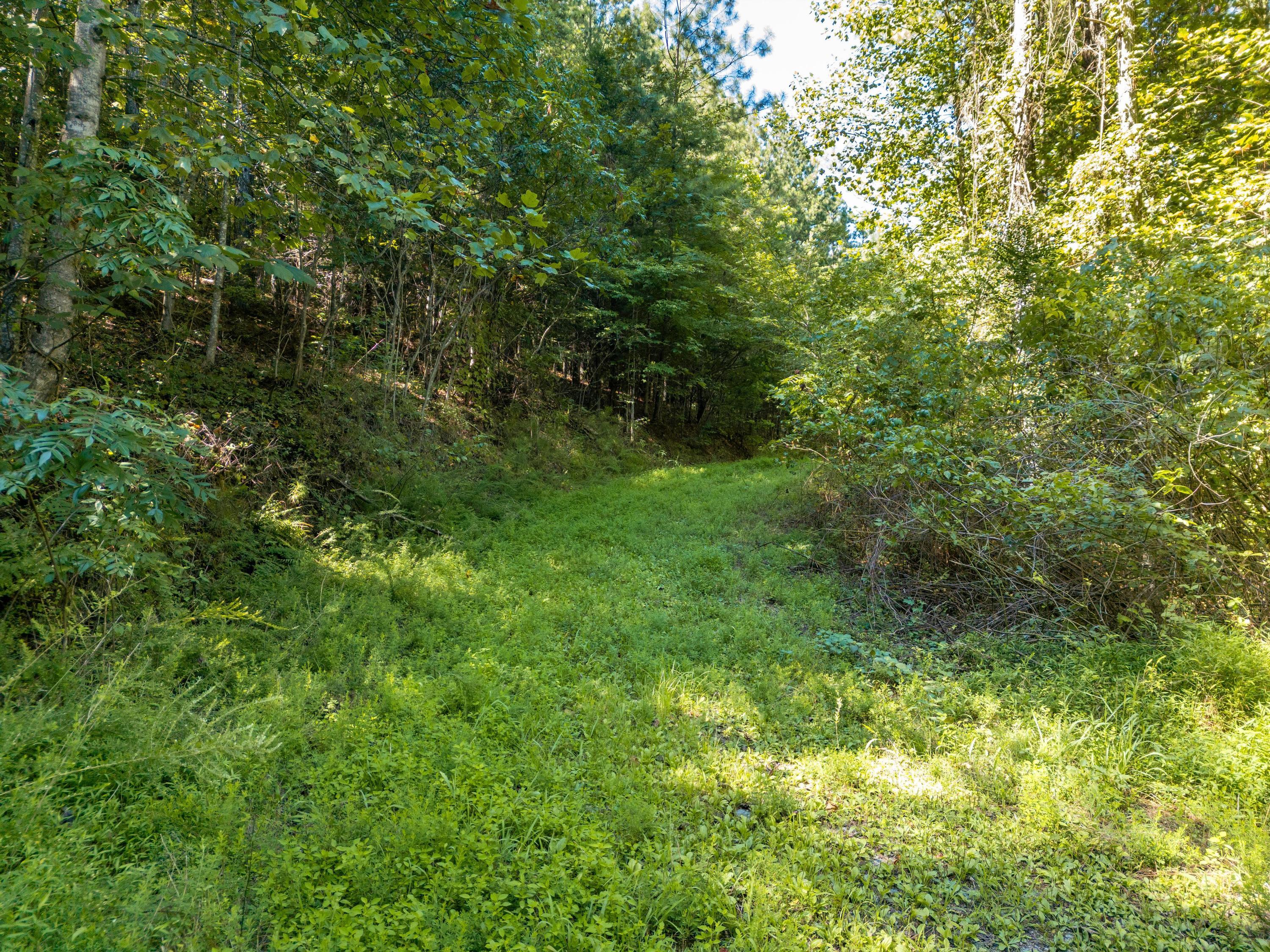 847 Eads Bluff Road Northwest Georgetown, TN 37336 - Photo 16 of 16 2025_08_August_847_Eads_Bluff_Rd_NW_0001