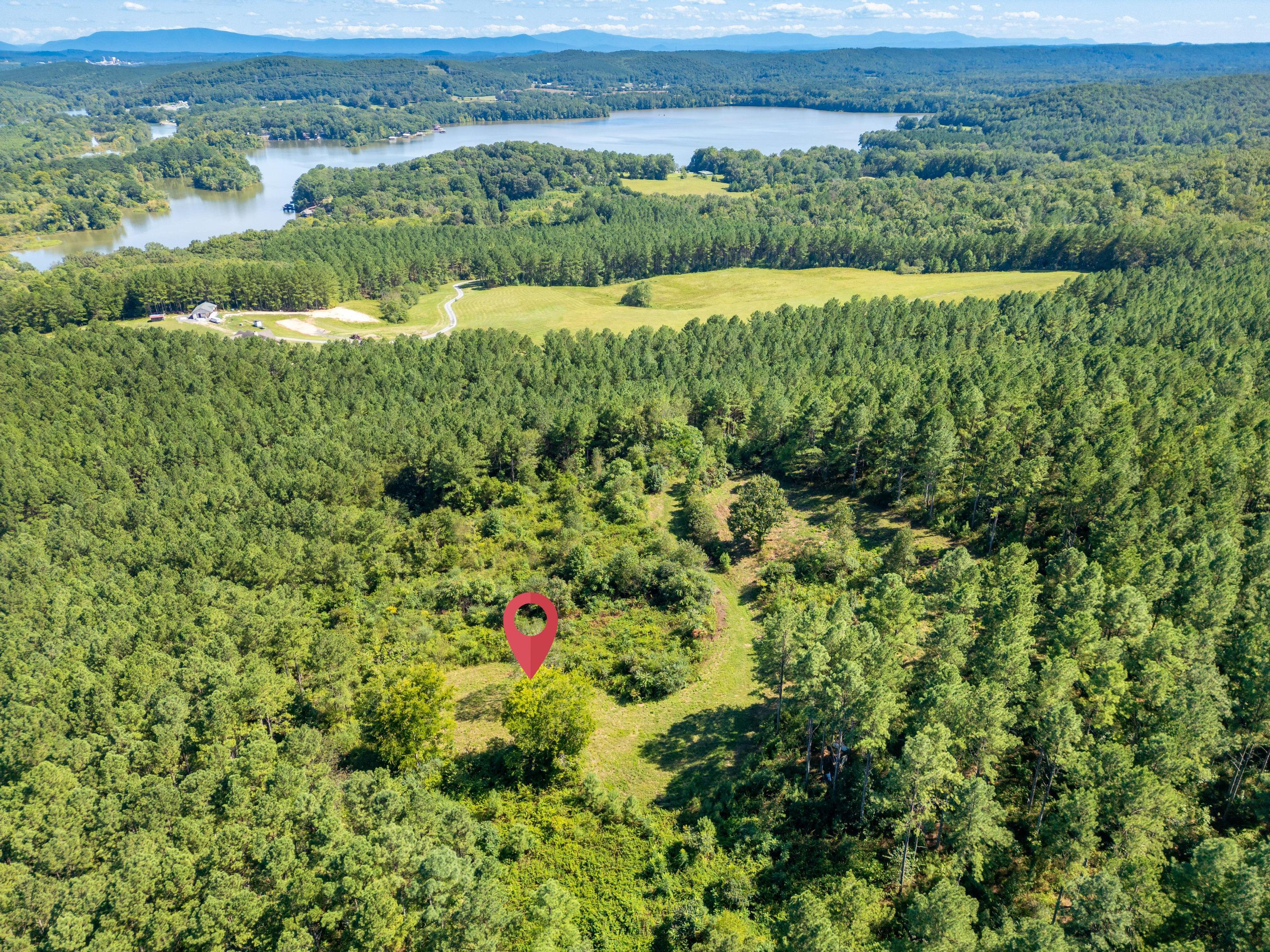 847 Eads Bluff Road Northwest Georgetown, TN 37336 - Photo 4 of 16 2025_08_August_847_Eads_Bluff_Rd_NW_0014