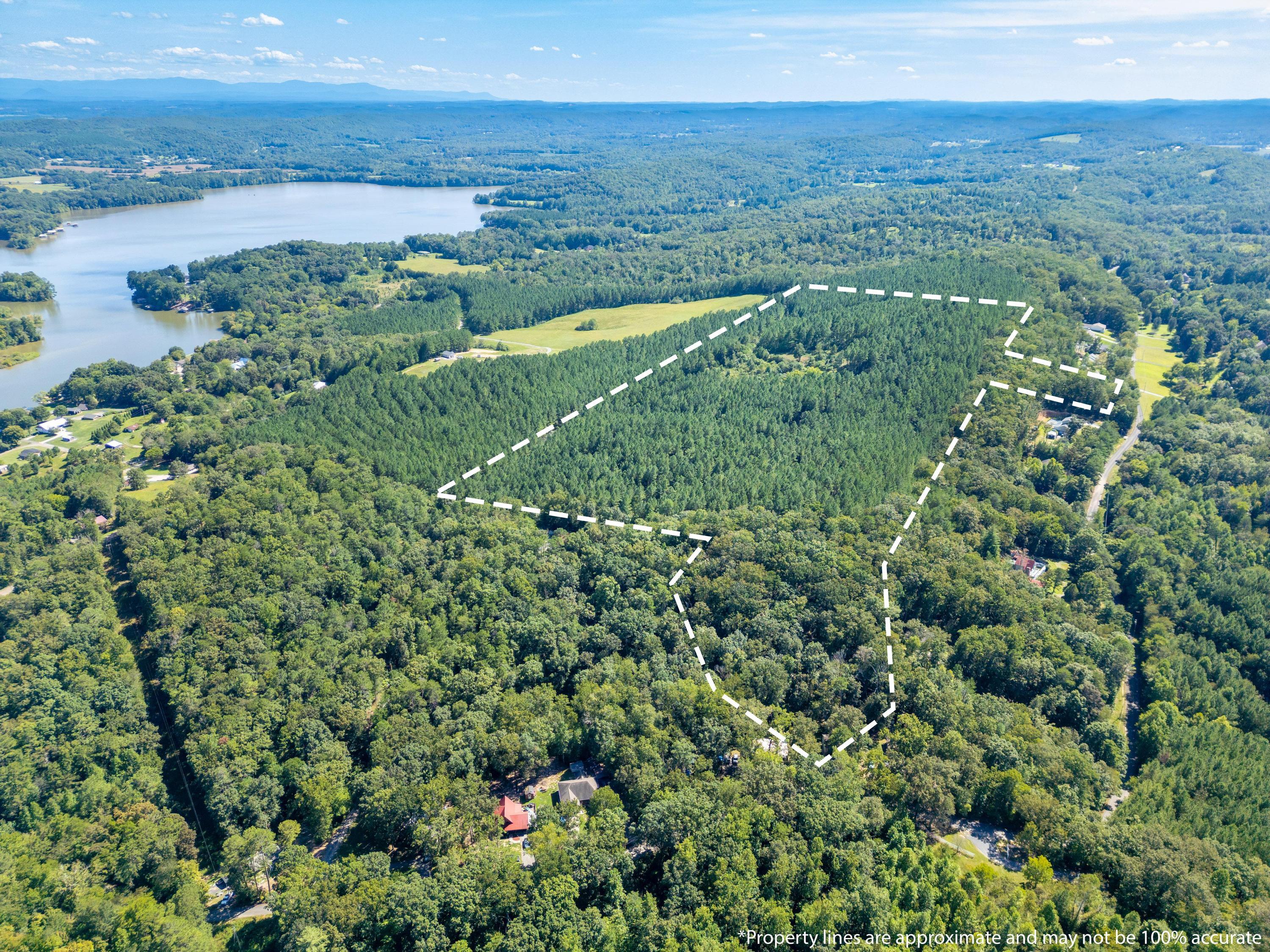 847 Eads Bluff Road Northwest Georgetown, TN 37336 - Photo 7 of 16 2025_08_August_847_Eads_Bluff_Rd_NW_0010