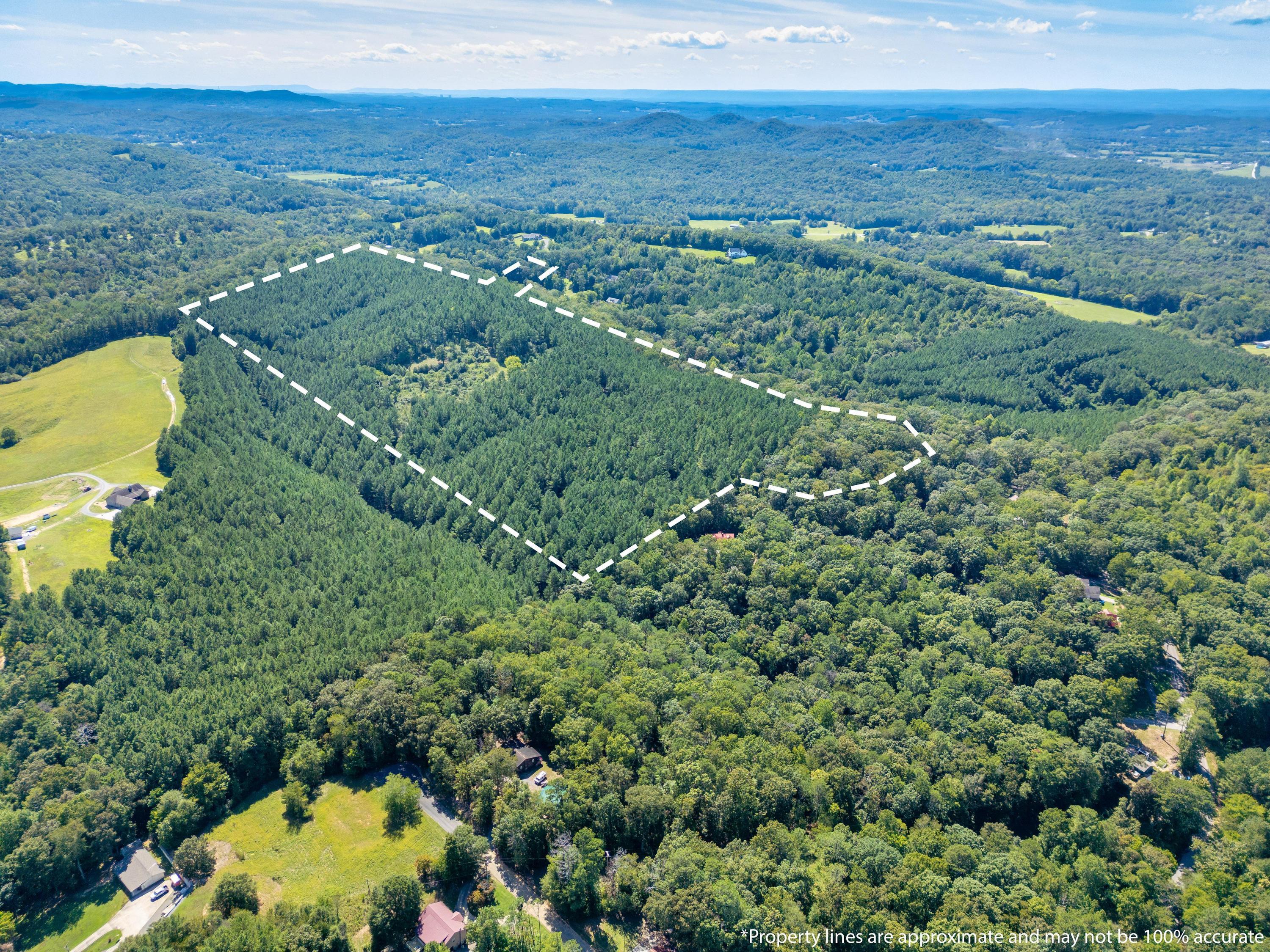 847 Eads Bluff Road Northwest Georgetown, TN 37336 - Photo 9 of 16 2025_08_August_847_Eads_Bluff_Rd_NW_0008