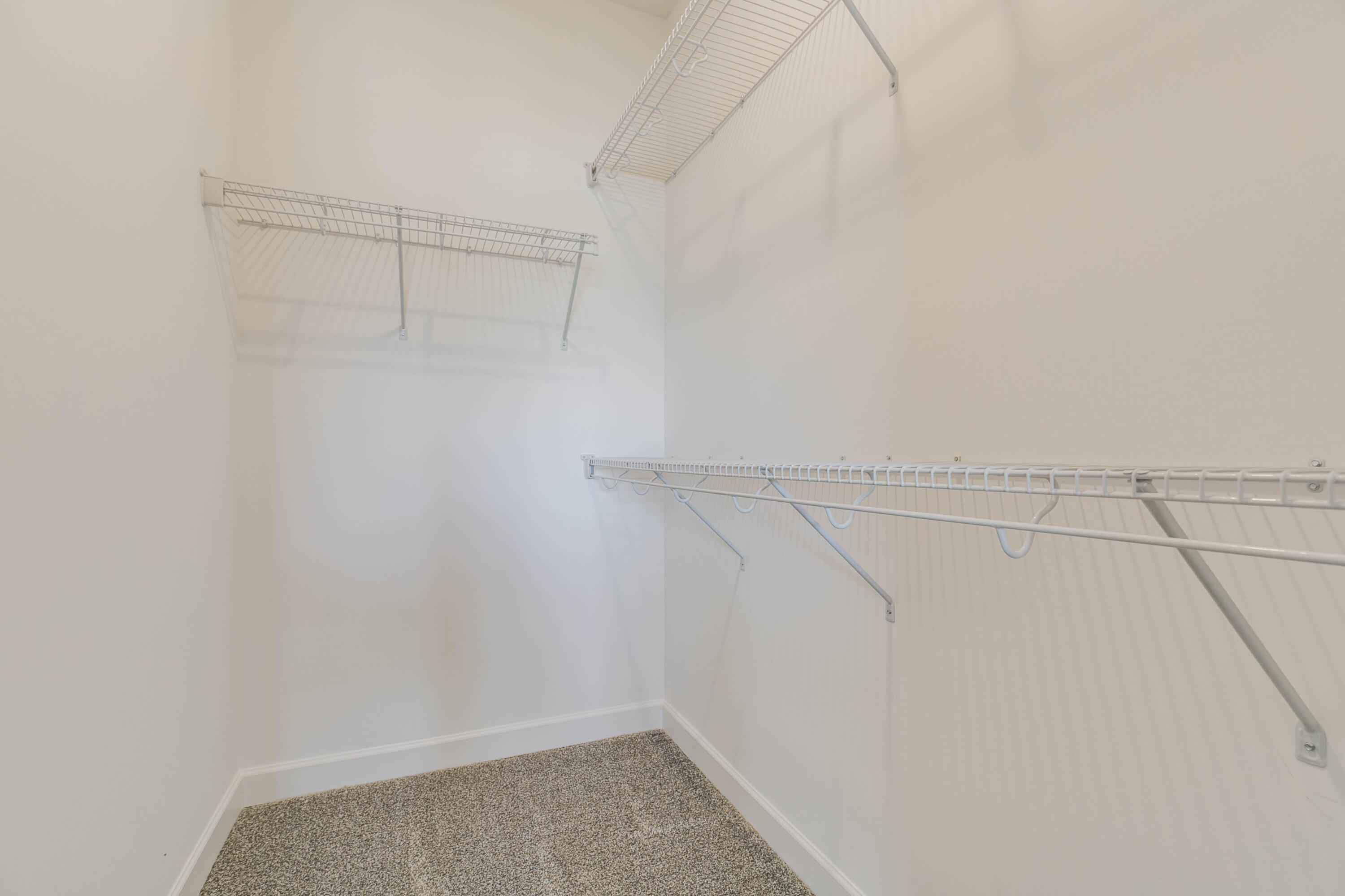 1003 Fortitude Trail Chattanooga, TN 37421 - Photo 18 of 29 17 Hampshire Primary Walk-in Closet