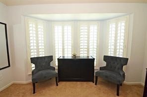 25411 Overbrook Terrace Lane Katy, TX 77494 - Photo 11 of 30 Another view of the master suite sitting area.