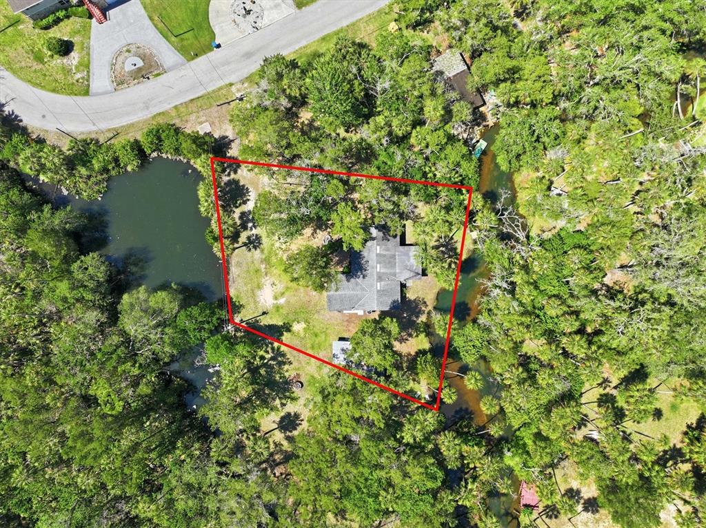 6244 Colony Circle Weeki Wachee, FL 34607 - Photo 19 of 60 view of a tree with a yard