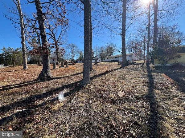 a view of a yard with trees