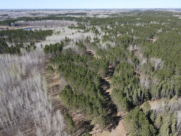 $770,000 | Tbd (280-ac) Tbd (280-ac) Maple Grove Road, Cloquet, MN 55720