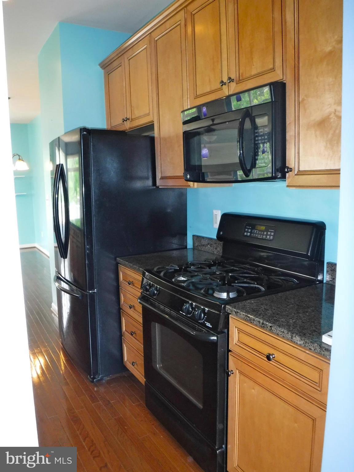 9115 Ribbon Falls Loop Bristow, VA 20136 - Photo 15 of 30 Kitchen