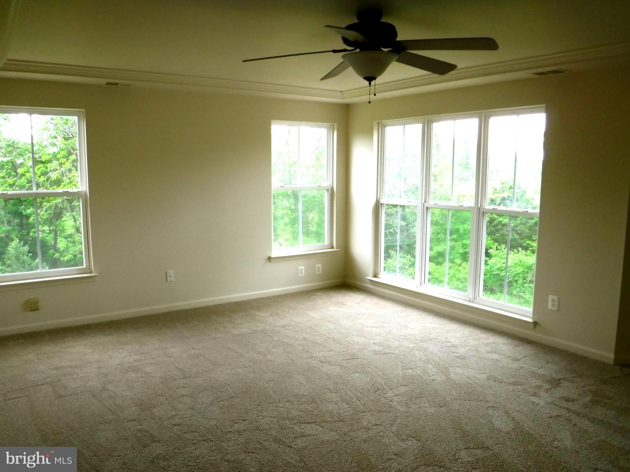 9115 Ribbon Falls Loop Bristow, VA 20136 - Photo 24 of 30 Bedroom (Master)
