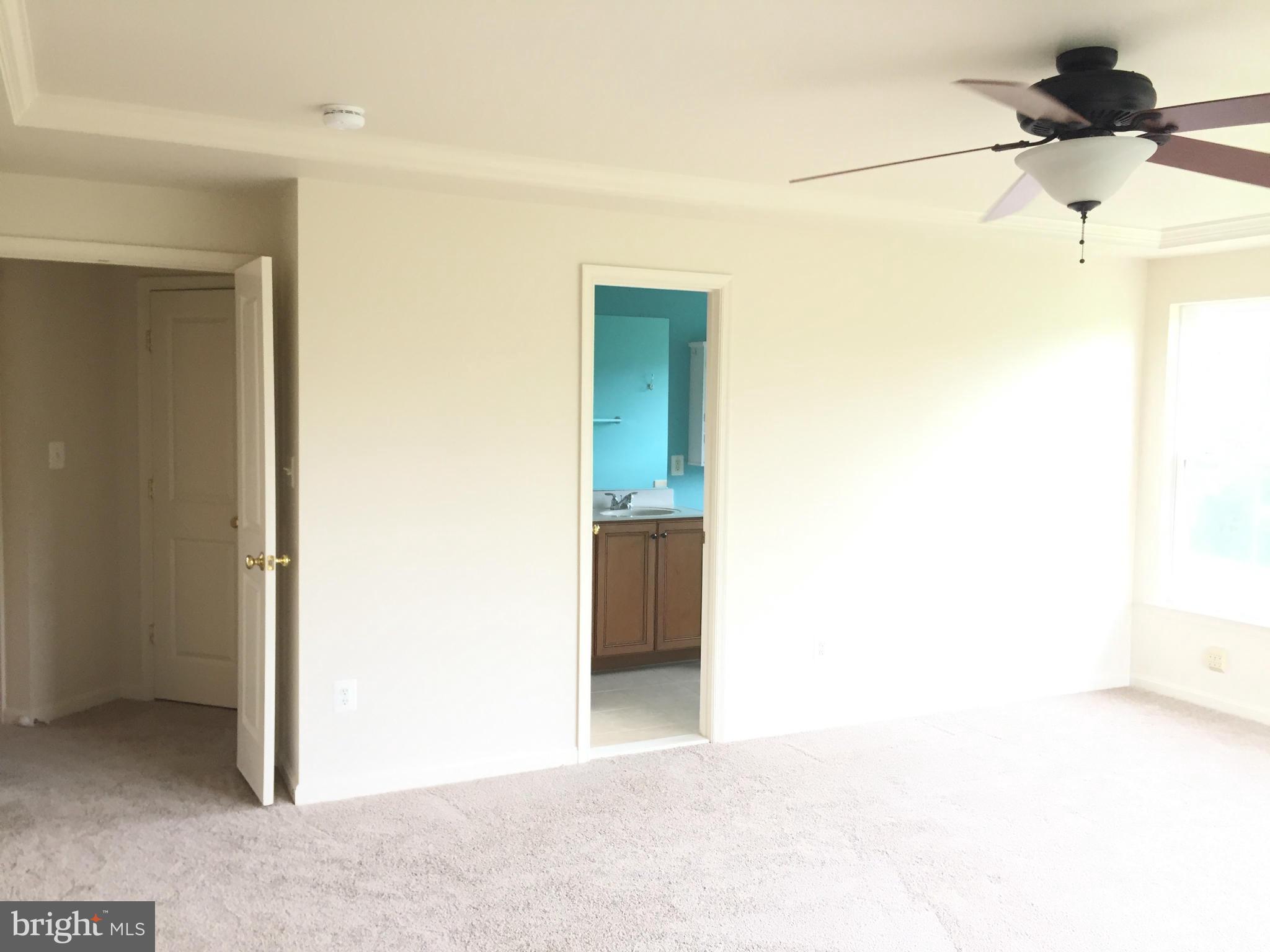 9115 Ribbon Falls Loop Bristow, VA 20136 - Photo 25 of 30 Bedroom (Master)