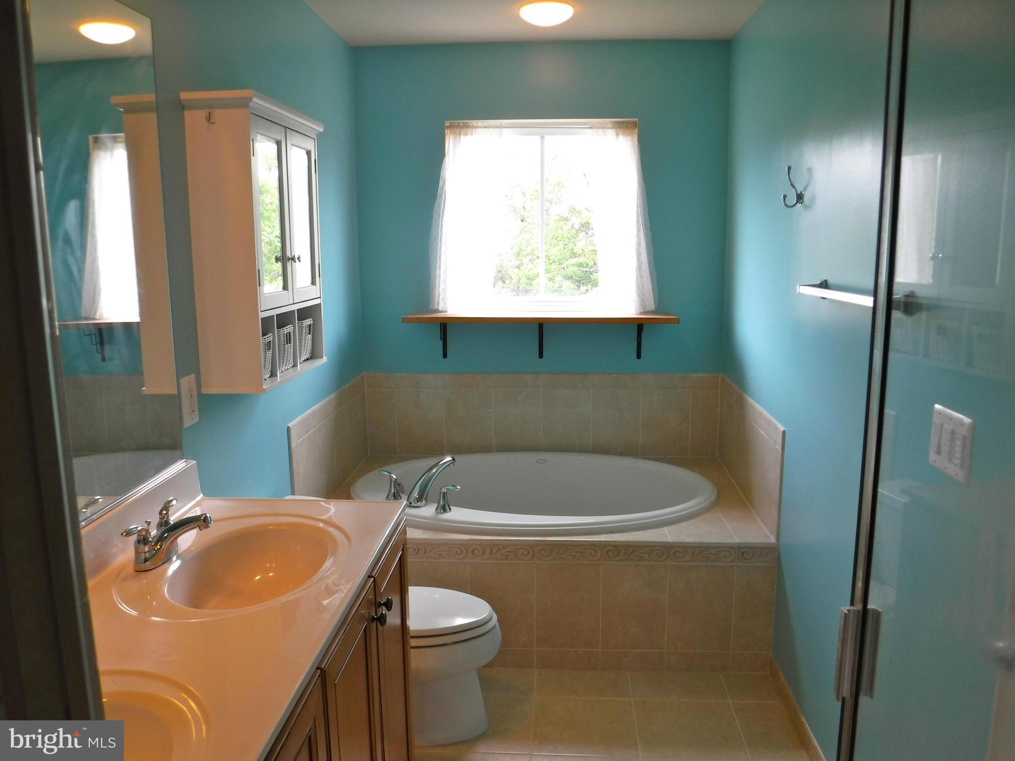 9115 Ribbon Falls Loop Bristow, VA 20136 - Photo 27 of 30 Bath (Master)