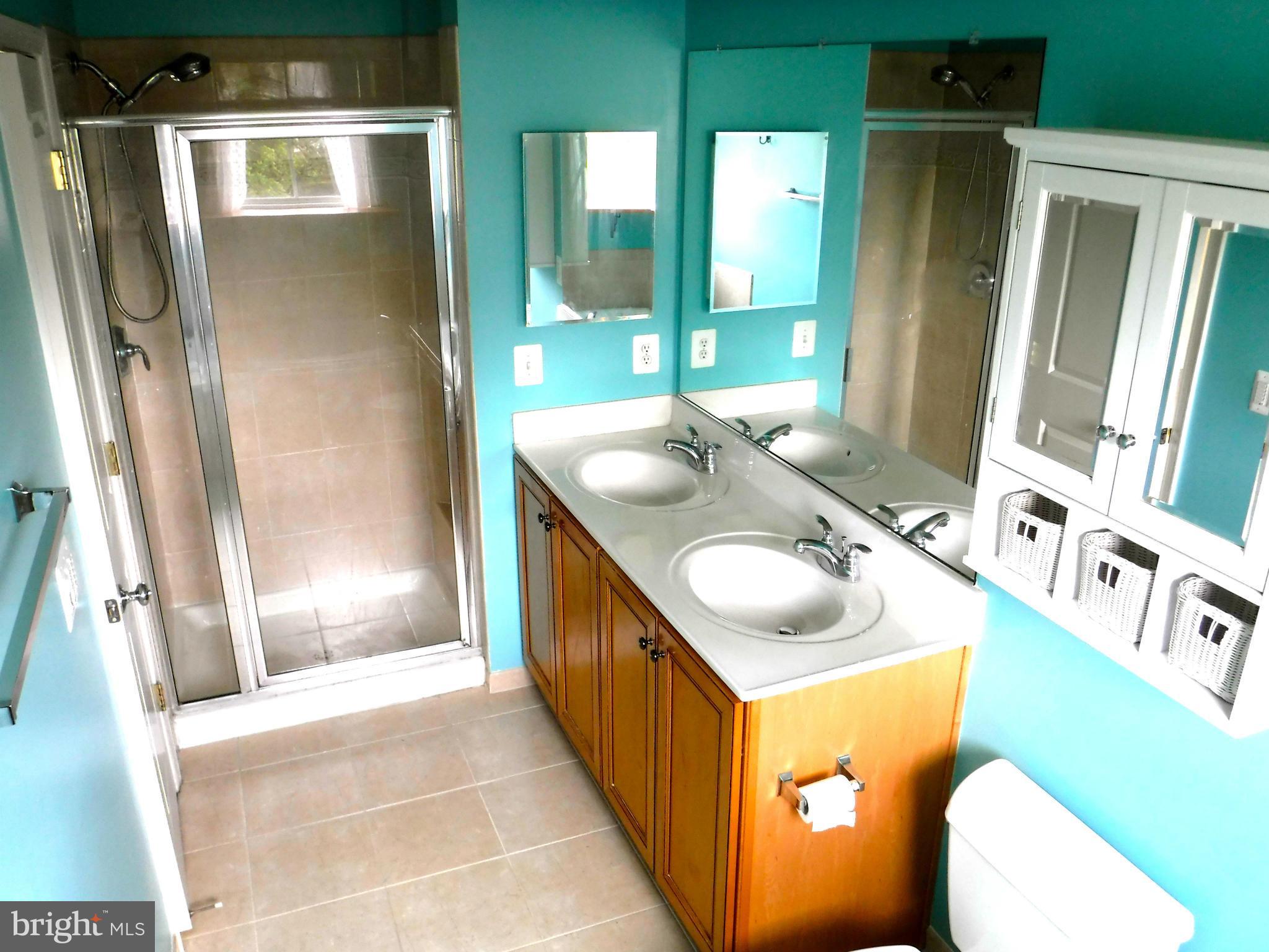 9115 Ribbon Falls Loop Bristow, VA 20136 - Photo 28 of 30 Bath (Master)
