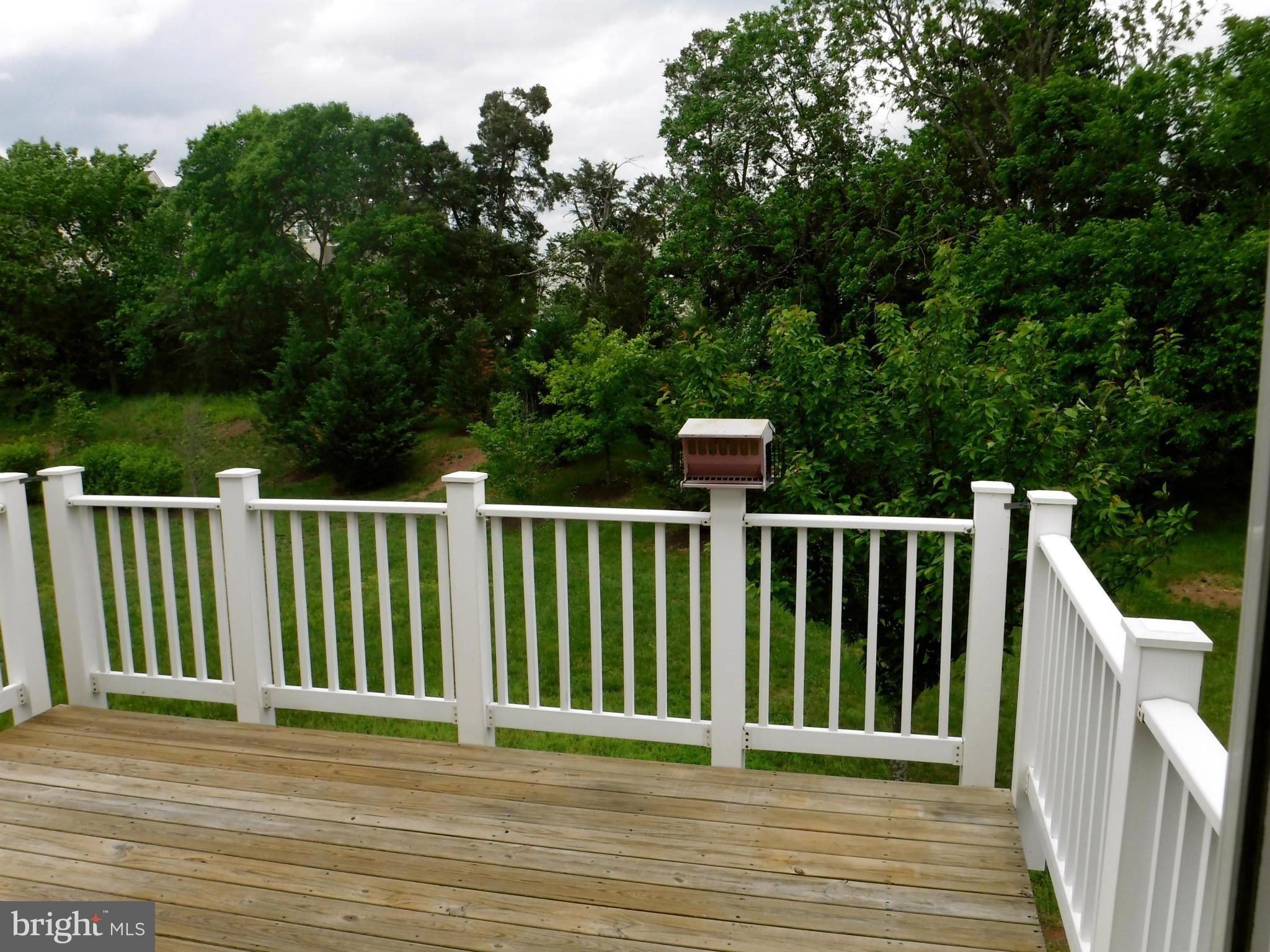 9115 Ribbon Falls Loop Bristow, VA 20136 - Photo 29 of 30 View
