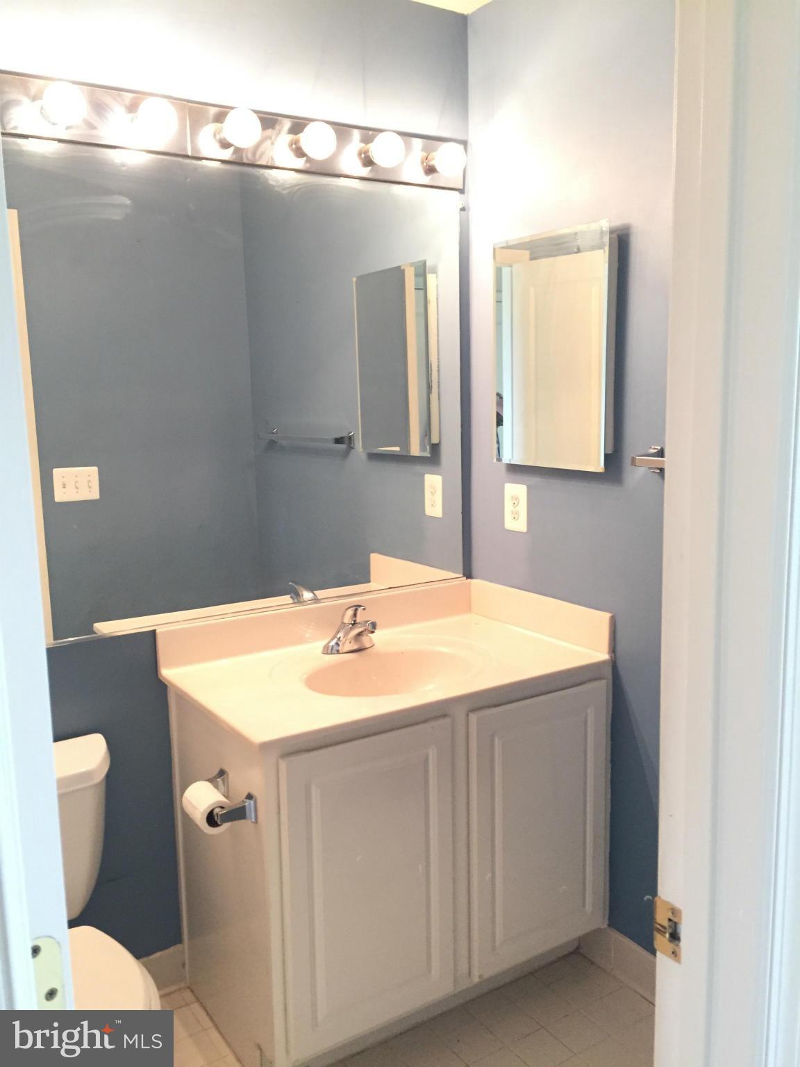 9115 Ribbon Falls Loop Bristow, VA 20136 - Photo 10 of 30 Bath