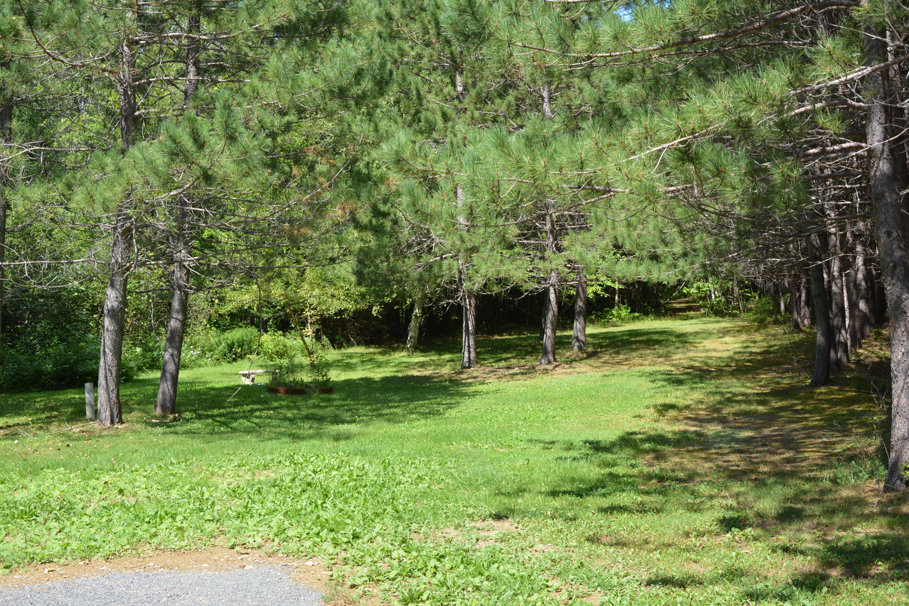 60 West Conroy Lake Road Monticello, ME 04760 - Photo 40 of 44 DSC_0082