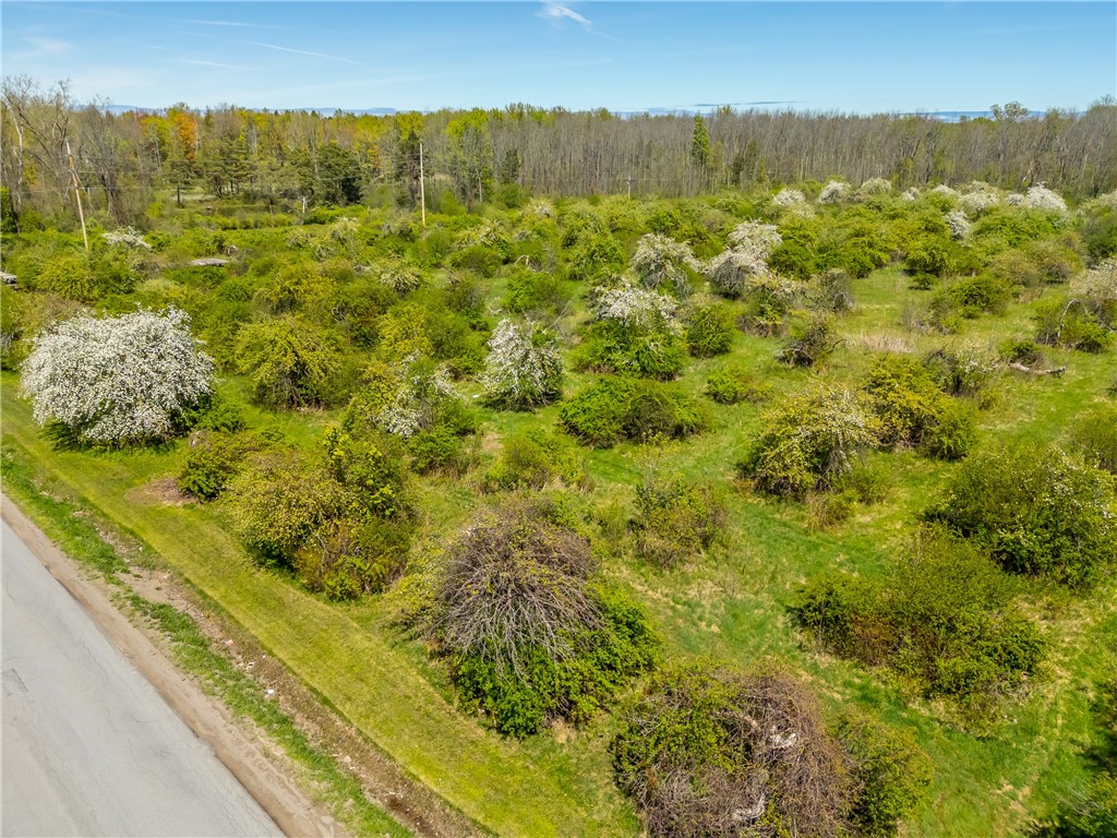 0 Pratt Road Webster, NY 14580 - Photo 10 of 15 Open Orchard Section