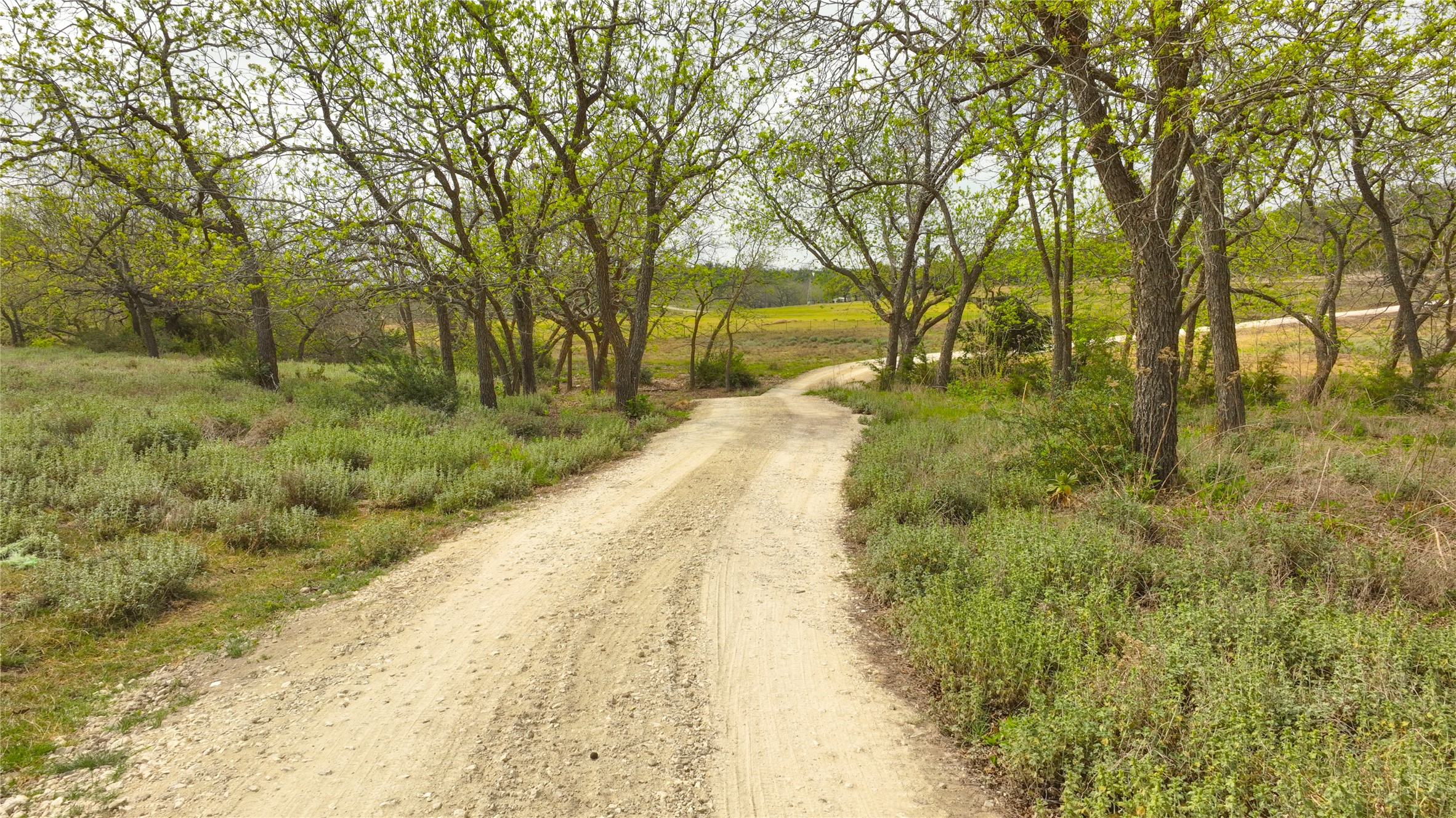 6980 Doss-Spring Creek Road Fredericksburg, TX 78624 - Photo 16 of 20 View of drive as it crosses the wet weather creek.