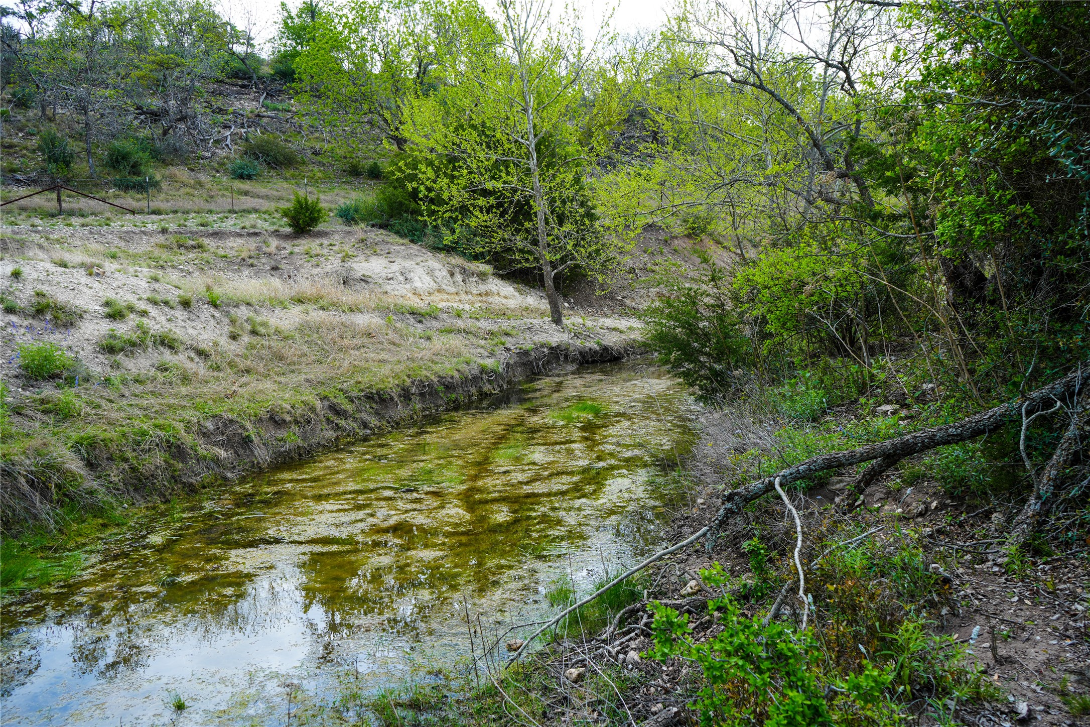6980 Doss-Spring Creek Road Fredericksburg, TX 78624 - Photo 19 of 20 View of wet weather creek that crosses the property.