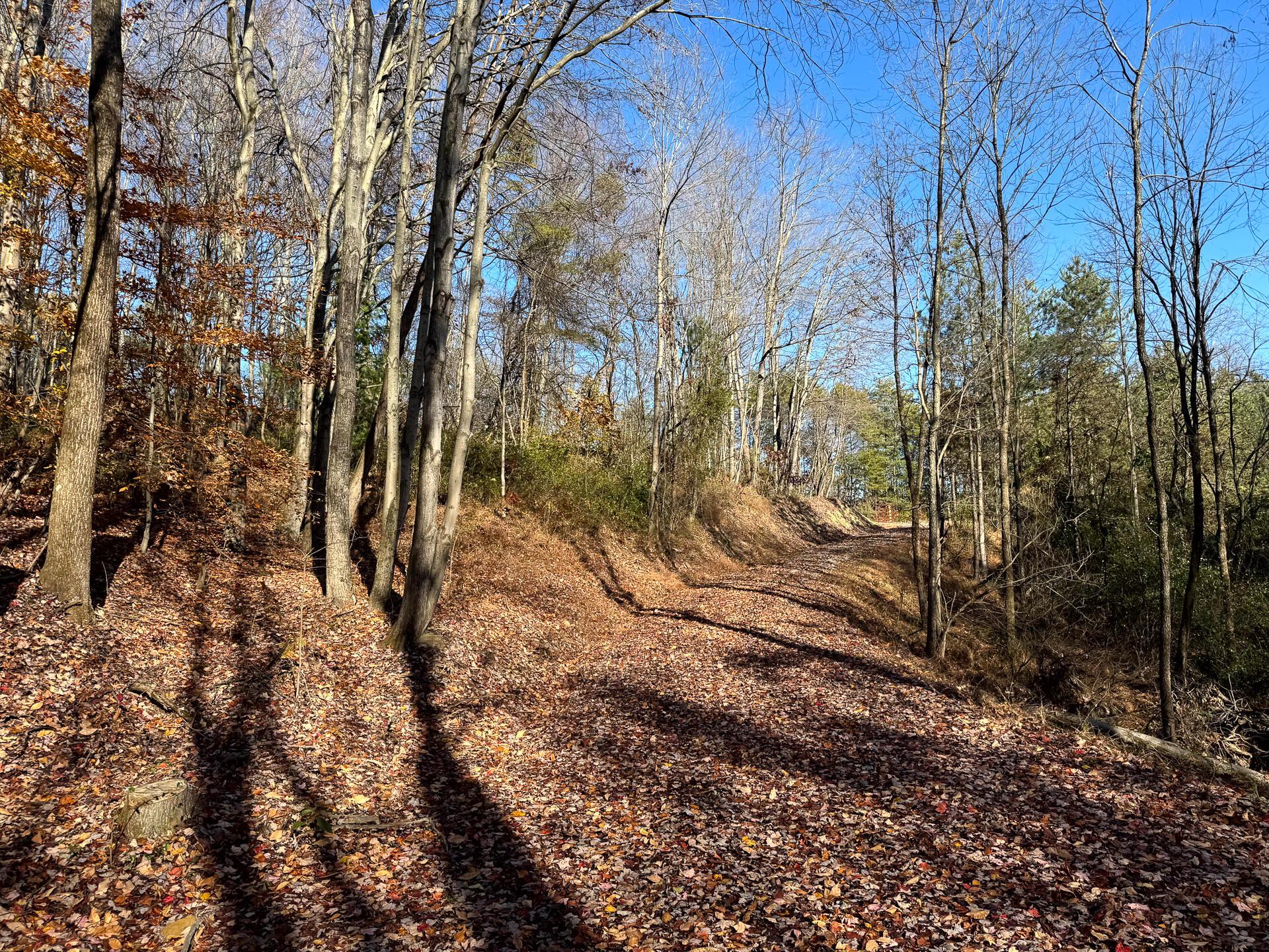 929 Poplar Ridge Road, Unit PONDS POPLAR RIDGE TRACT 14) Gallipolis, OH 45631 - Photo 10 of 30 CT-10