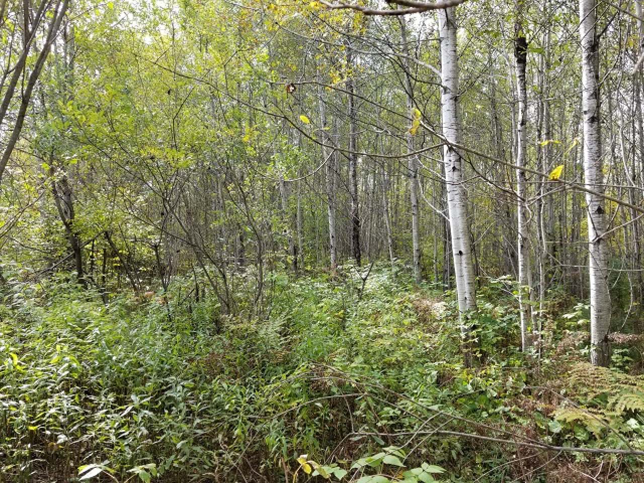 Lot 22 Three Ten Road Mercer, WI 54547 - Photo 12 of 14 Gallery Image 12