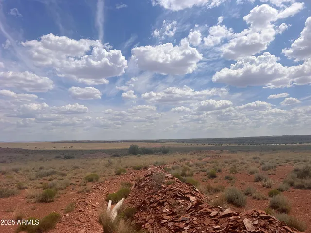 a view of city and mountain