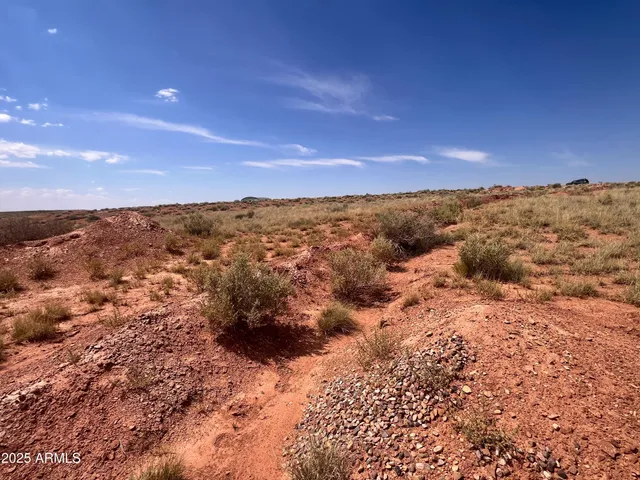 a view of a dry yard with wooden fence