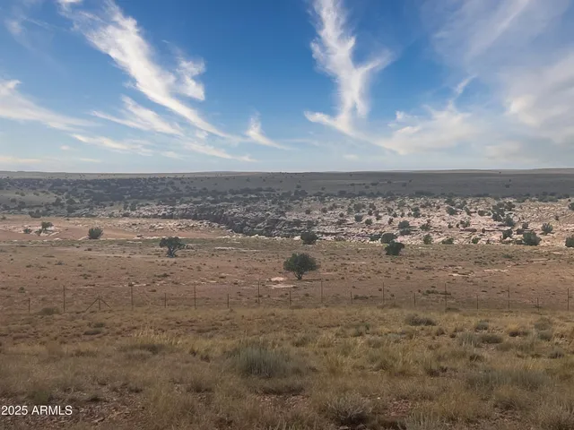 a view of a dry yard