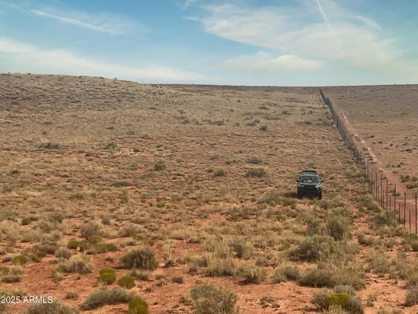a view of a dry yard with wooden fence