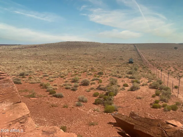 a view of city and lots of trees