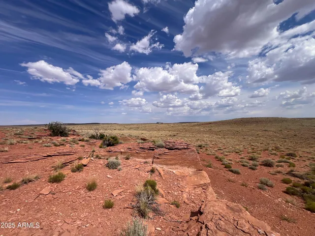 a view of beach and ocean