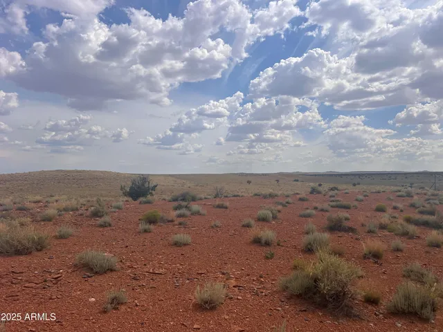 $79,900 | 6260 Snowflake Woodruff Road, Woodruff, AZ 85942