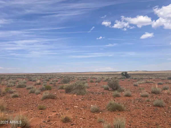 $70,000 | 6260 Snowflake Woodruff Road, Woodruff, AZ 85942