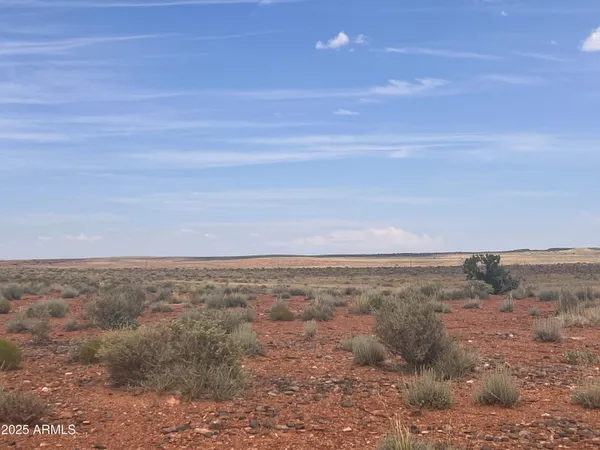 $70,000 | 6260 Snowflake Woodruff Road, Woodruff, AZ 85942