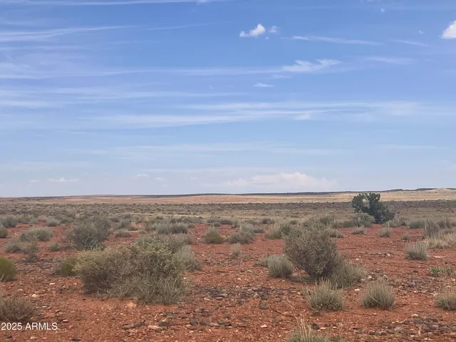 $79,900 | 6260 Snowflake Woodruff Road, Woodruff, AZ 85942