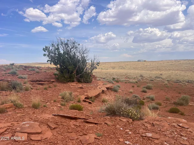 $79,900 | 6260 Snowflake Woodruff Road, Woodruff, AZ 85942