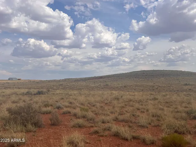 $79,900 | 6260 Snowflake Woodruff Road, Woodruff, AZ 85942