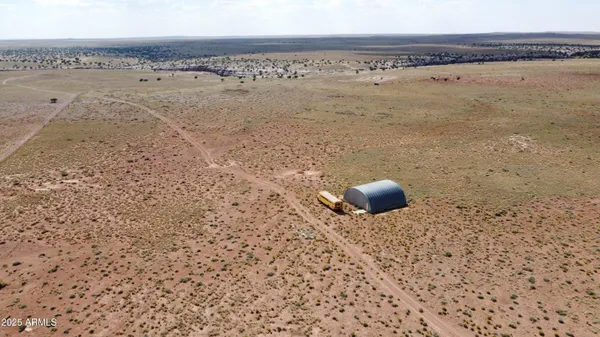 a view of a dry yard with trees in the background