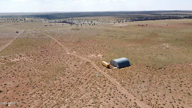 a view of a dry yard with trees in the background