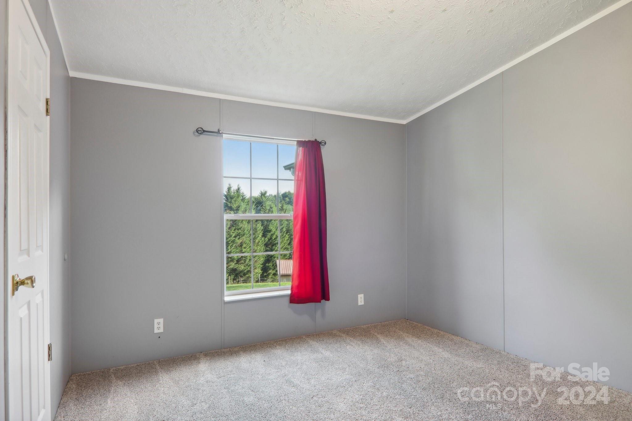 4 Wolf Ridge Canton, NC 28716 - Photo 19 of 44 Gallery Image 19