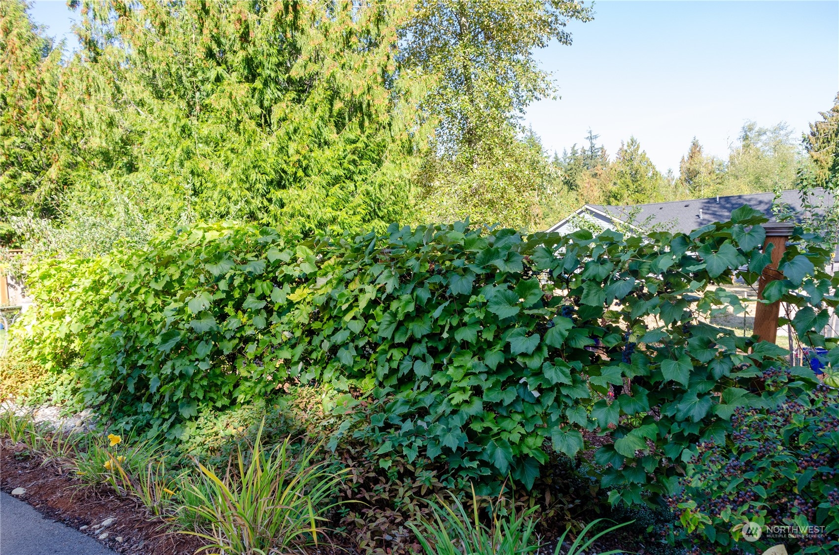 1537 Southwest Old Clifton Road Port Orchard, WA 98367 - Photo 34 of 40 Gallery Image 34