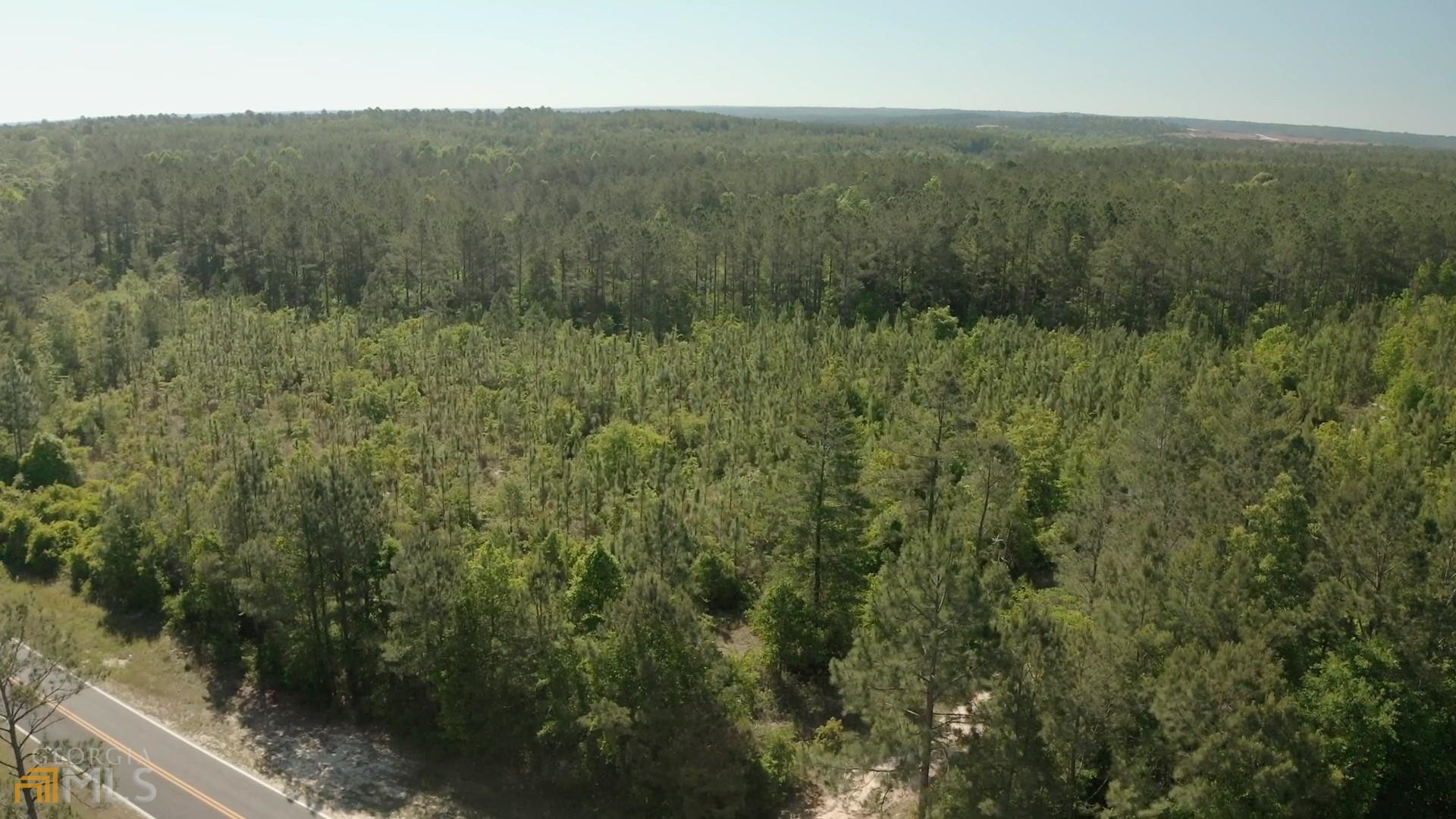 a view of a lush green forest with a mountain
