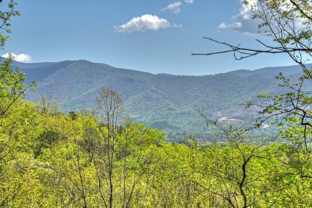 812 Flagpole Road Ellijay, GA 30540 - Photo 2 of 60