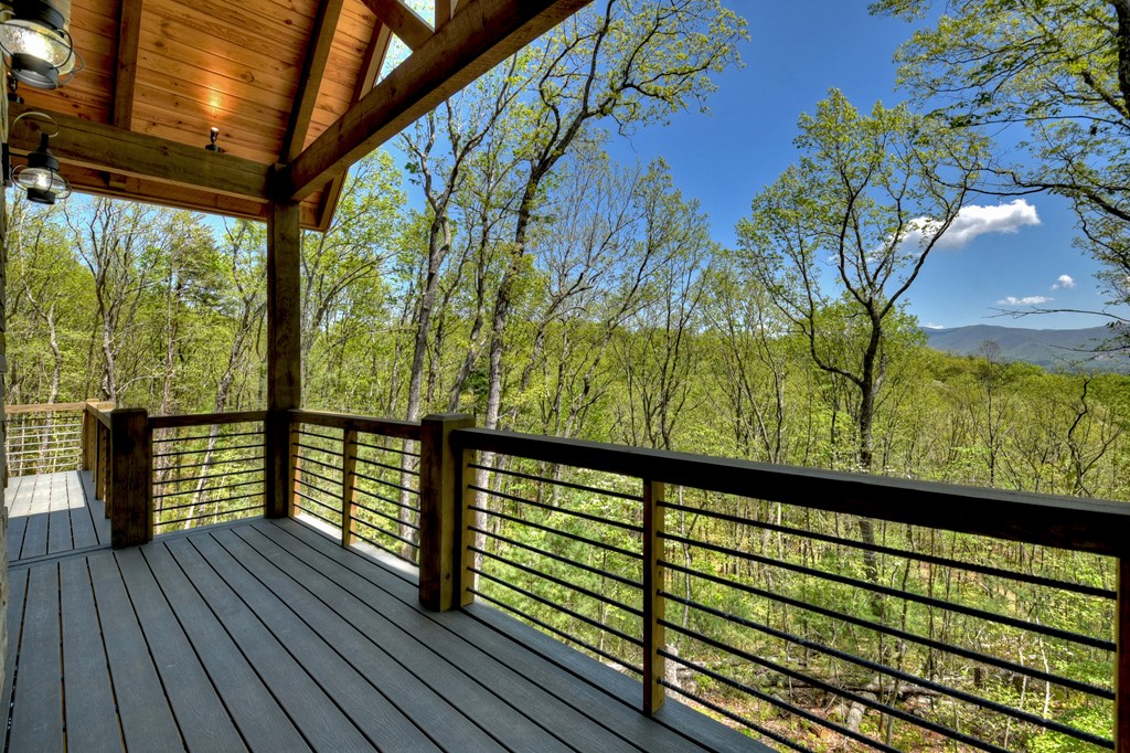 812 Flagpole Road Ellijay, GA 30540 - Photo 24 of 60