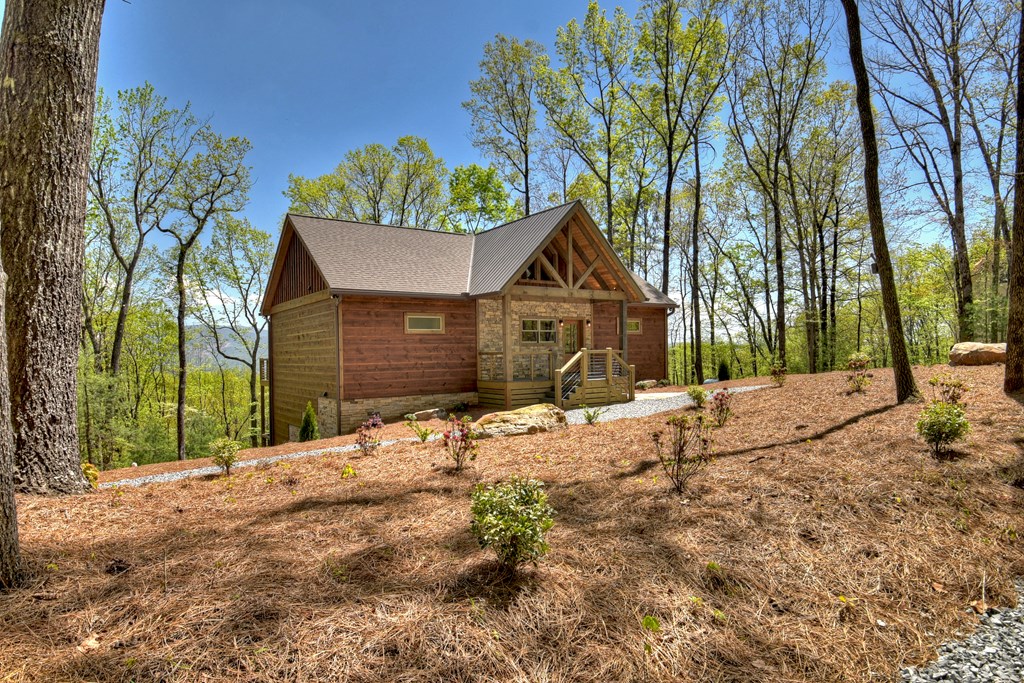812 Flagpole Road Ellijay, GA 30540 - Photo 4 of 60