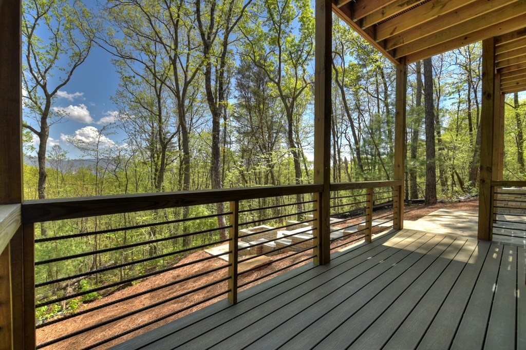 812 Flagpole Road Ellijay, GA 30540 - Photo 45 of 60