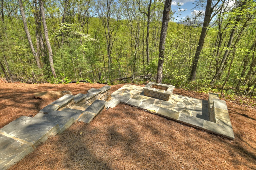 812 Flagpole Road Ellijay, GA 30540 - Photo 47 of 60