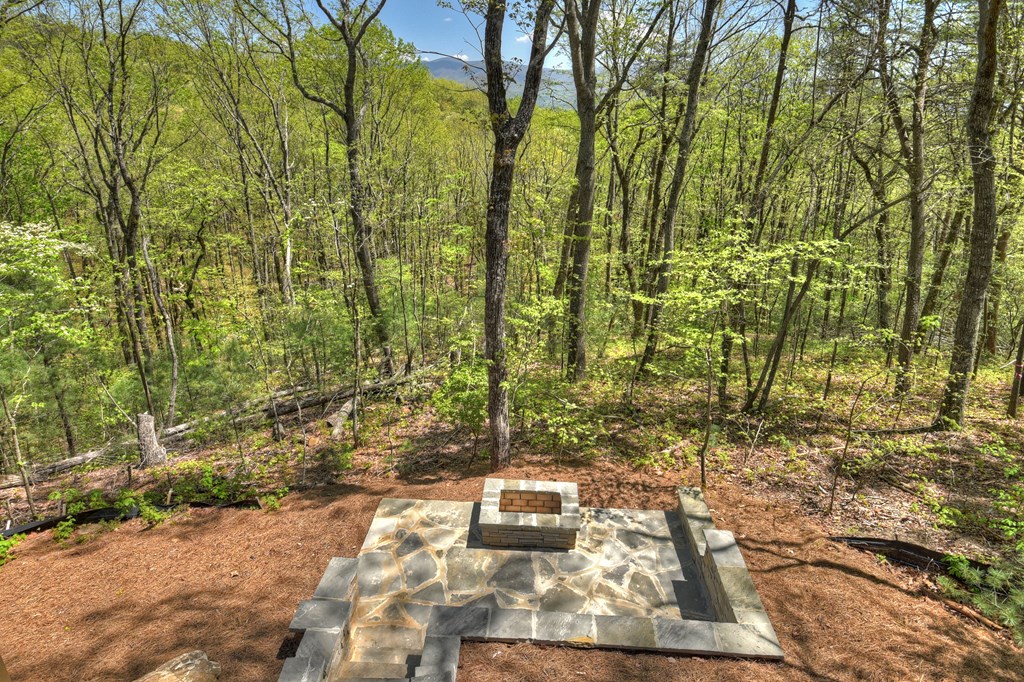 812 Flagpole Road Ellijay, GA 30540 - Photo 48 of 60