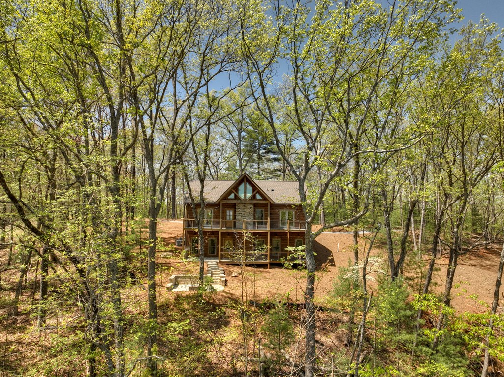 812 Flagpole Road Ellijay, GA 30540 - Photo 49 of 60